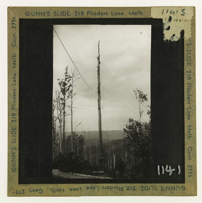 Skyline & High Lead Logging. – Victoria’s Forests & Bushfire Heritage