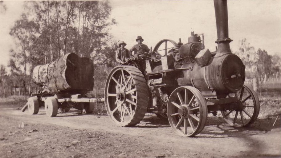 Barmah Forest Timber Reserve. – Victoria’s Forests & Bushfire Heritage