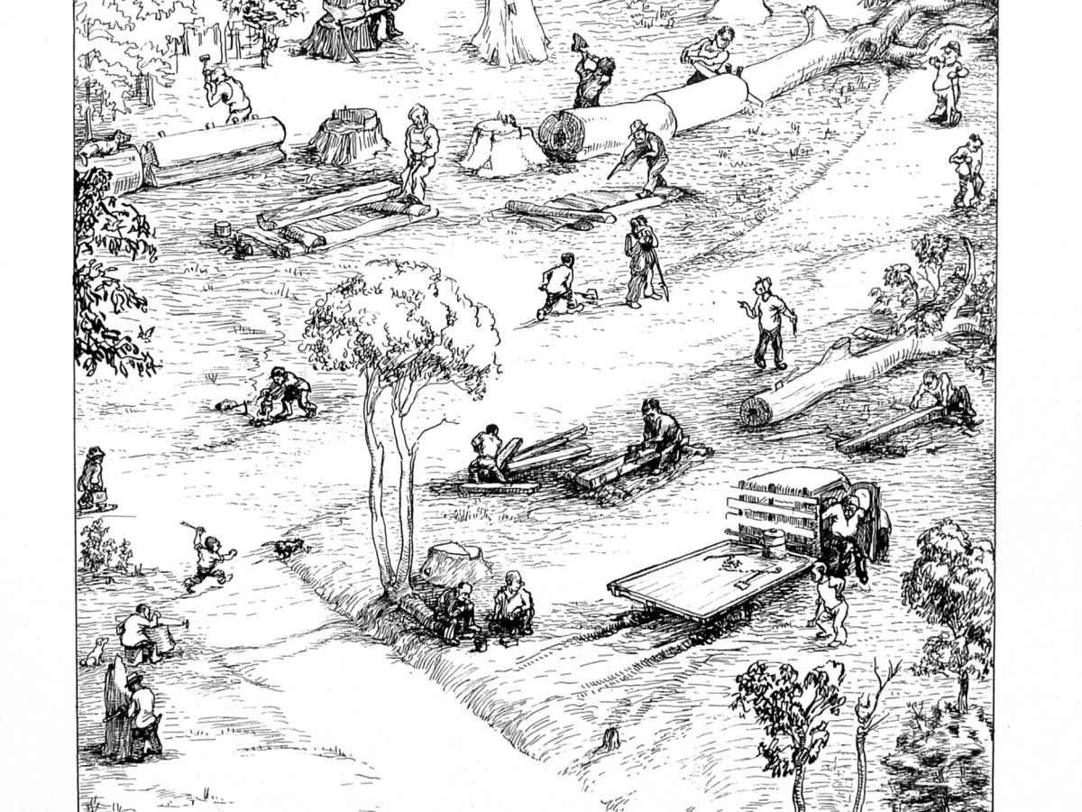 The Working Forests – mission&nbsp;accomplished.