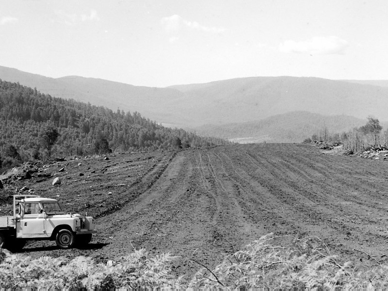 Sumner Spur Airstrip –&nbsp;Powelltown.