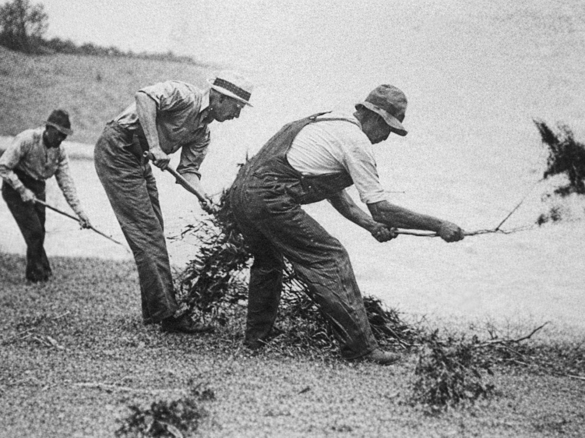 Forming Rural Fire&nbsp;Brigades.