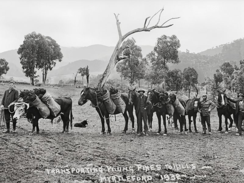 The Great Depression –&nbsp;Sussos.