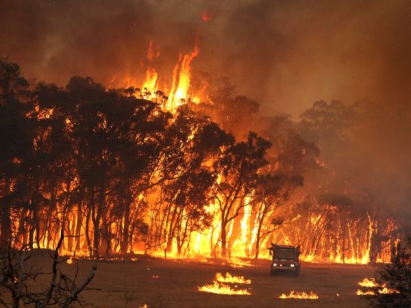 Fire Management – 101.Some important fire&nbsp;terms.