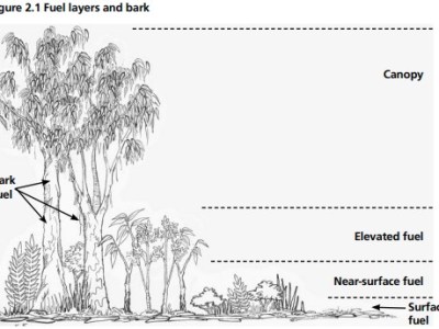 Fire Management – 101.Understanding Fuel.