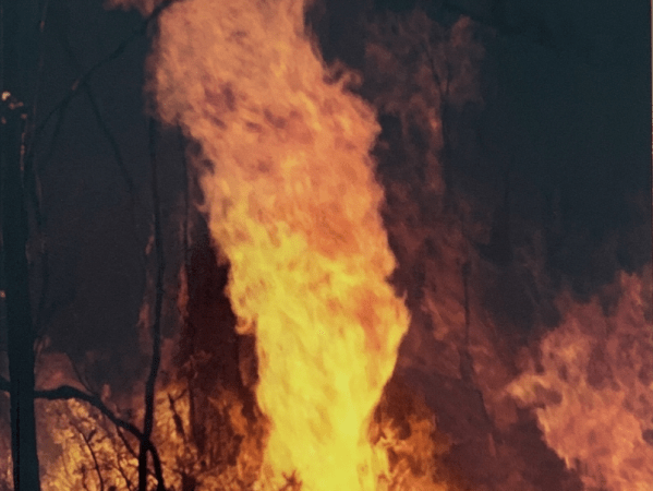 Fire Management –&nbsp;101.