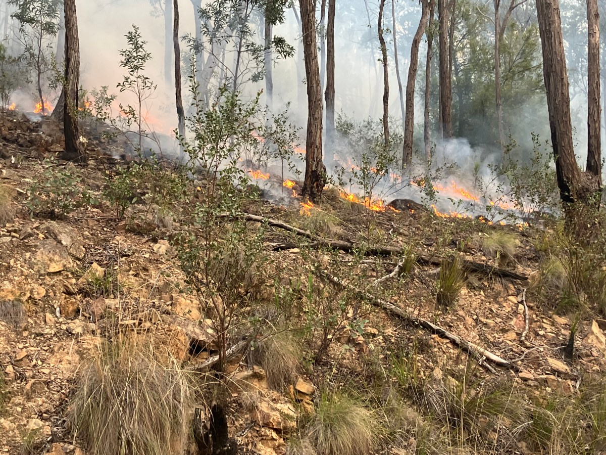 Fire Management – 101.   Fuel Reduction Burning (FRB) – Part&nbsp;2.
