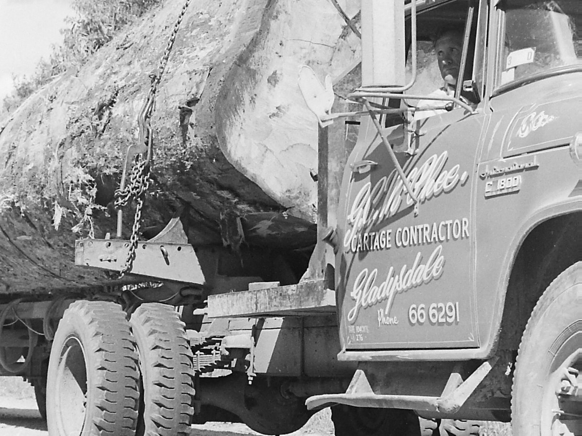 Mountain Ash single&nbsp;rider.