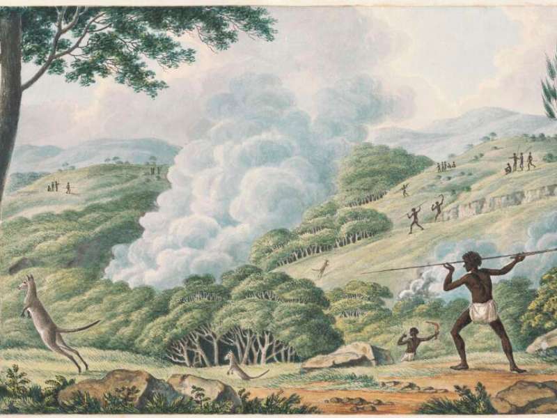 Pre Colonial Forests & Fire – Part&nbsp;2.