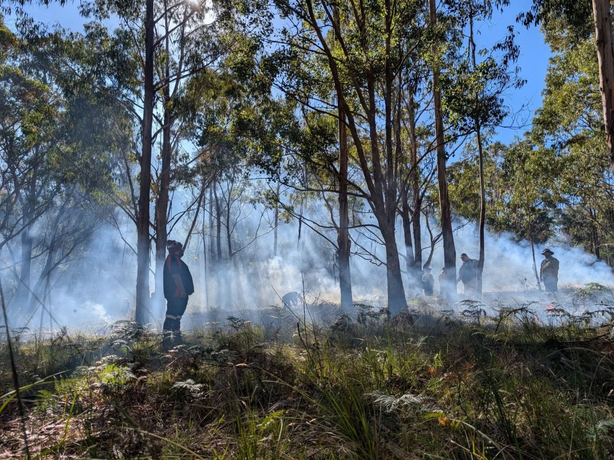Pre Colonial Forests & Fire – Part&nbsp;6.