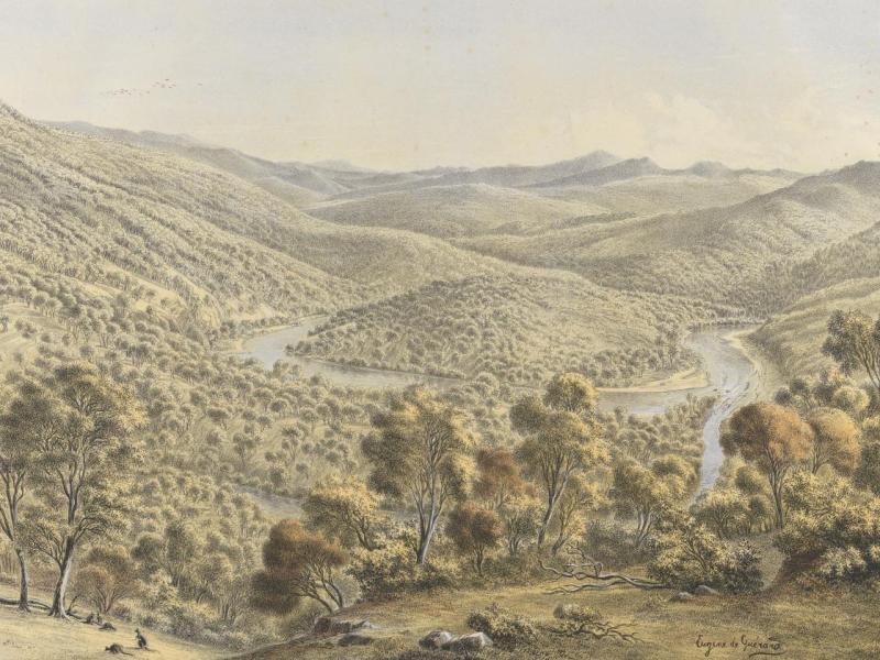 Pre Colonial Forests & Fire – Part&nbsp;3.